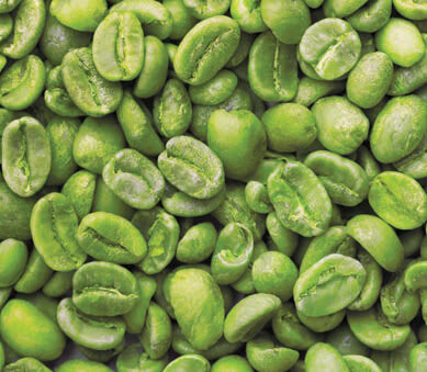 Grains de café vert